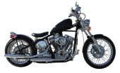 2006 Titan Bobber photo